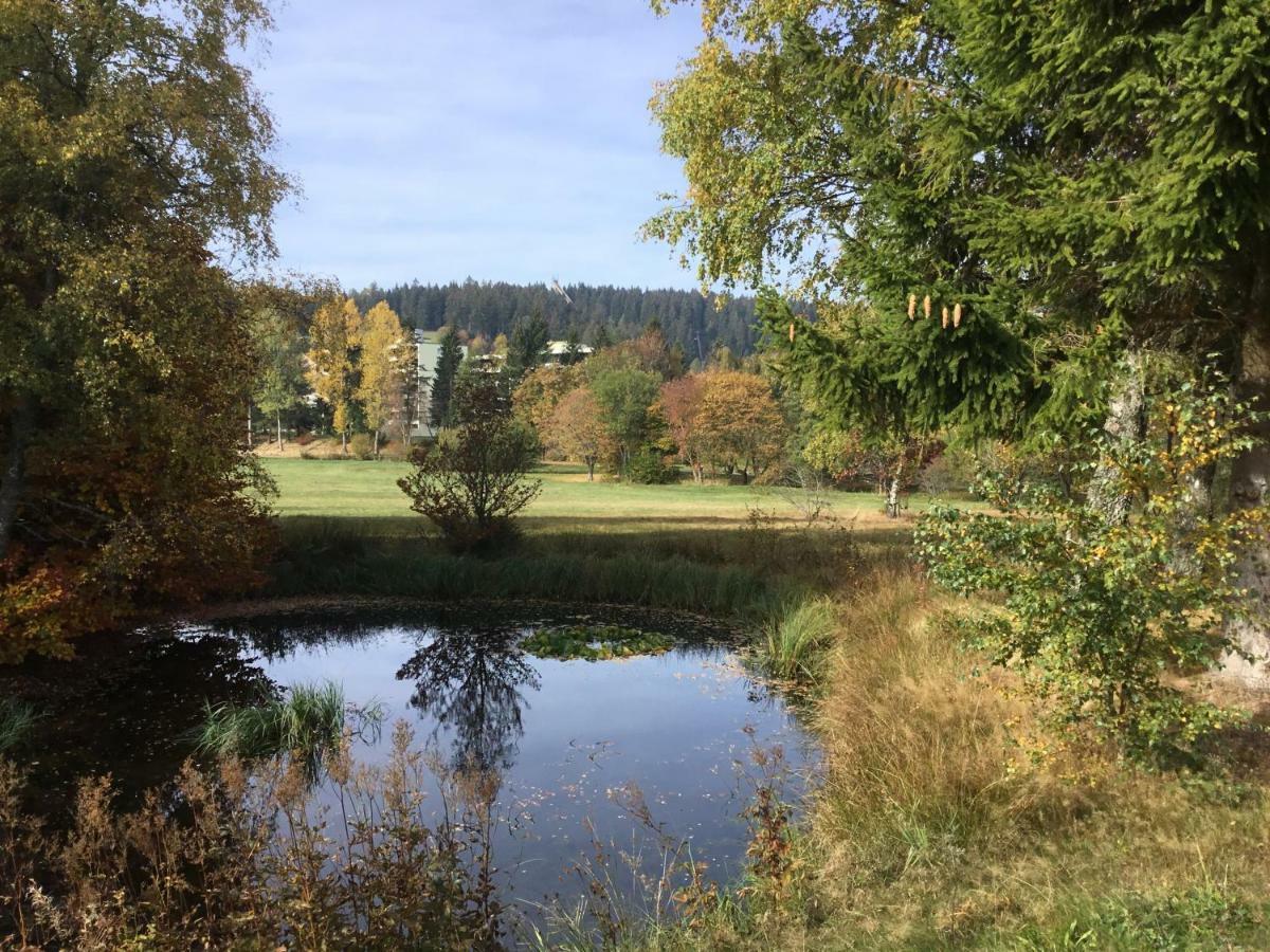 Gemuetliche 1Z Fewo In Schoenwald Mit Balkon, Schwimmbad, Sauna, Fitness Экстерьер фото